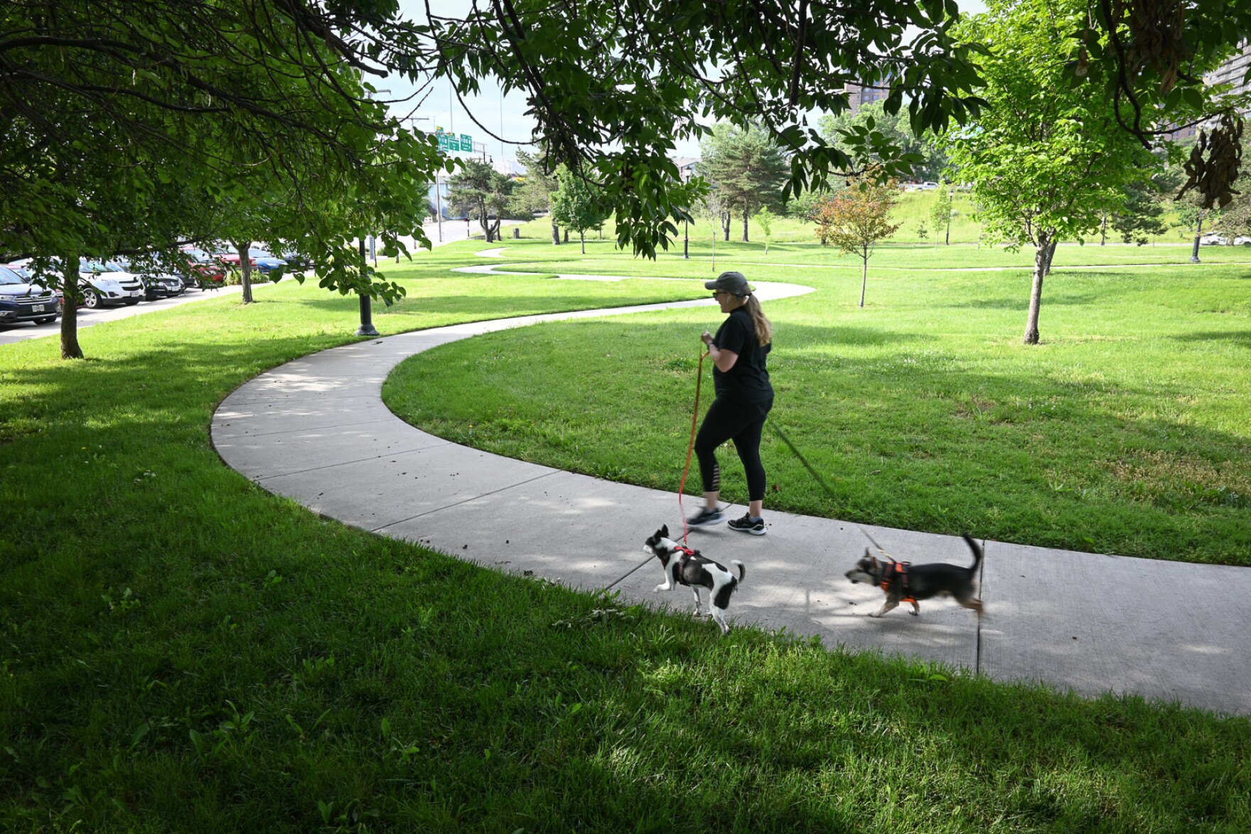 Want to explore Columbus Park? Start with this beginner's guide to the