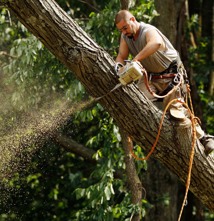 In Silver Spring, Md., on Monday, Matt MacCartney was one of many workers dismantling fallen trees that took down power lines.