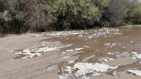 Water released from Abiquiu Lake creeps across the dry riverbed of the Rio Grande in central Albuquerque on Sept. 3, 2026.
