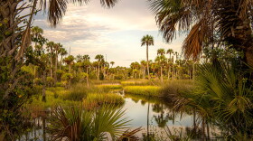  The series examines the environmental obstacles confronting Florida and aims to inspire viewers to support conservation across the state.