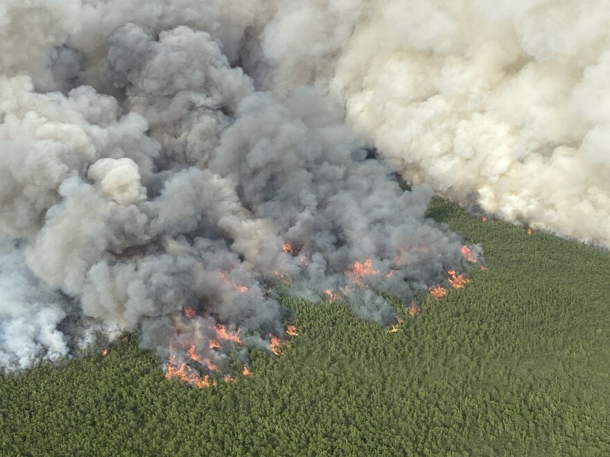 Aerial view of a wildfire. A green canopy of trees is consumed by a fire with over half the image showing plumes gray smoke.