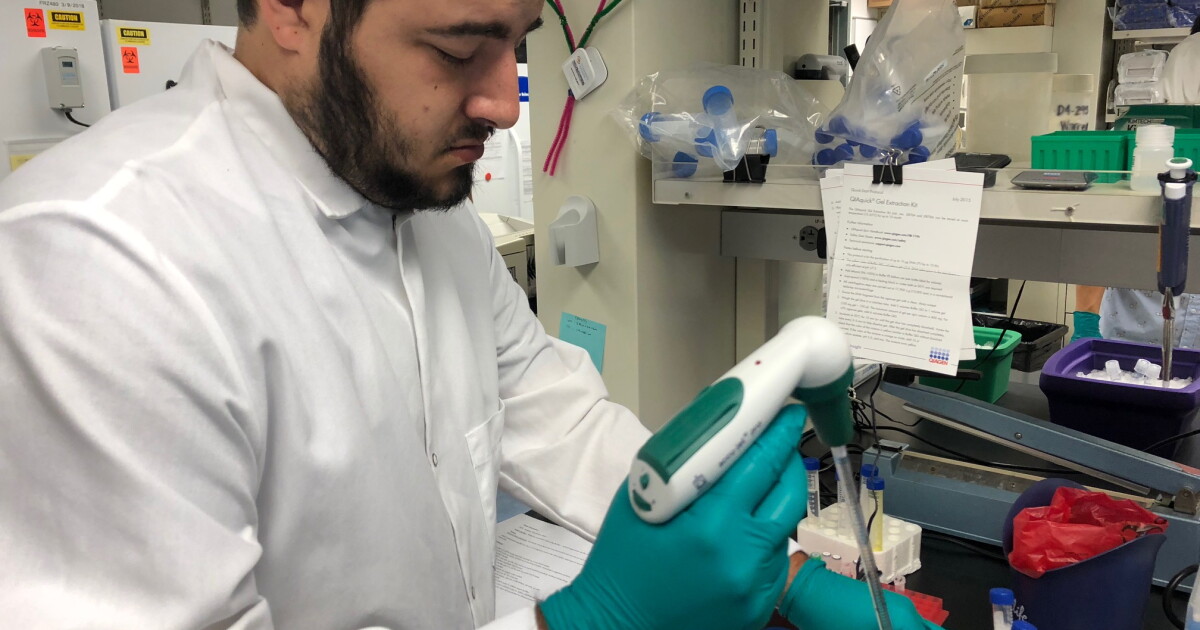 Fred Hutch Program Gives Washington Science Teachers A Chance To Hone ...