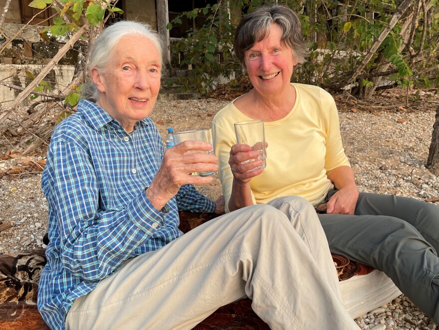 Professor Anne Pusey, right, with anthropologist Jane Goodall
