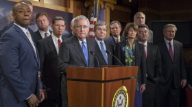 Senate Majority Leader Mitch McConnell, R-Ky., speaks at the press conference after the Senate vote of the tax overhaul bill on Dec. 20, 2017 in Washington.
(Tasos Katopodis/Getty Images)