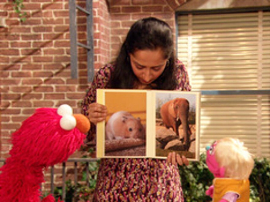 Judy and the Beast (Episode 4419) on Sesame Street