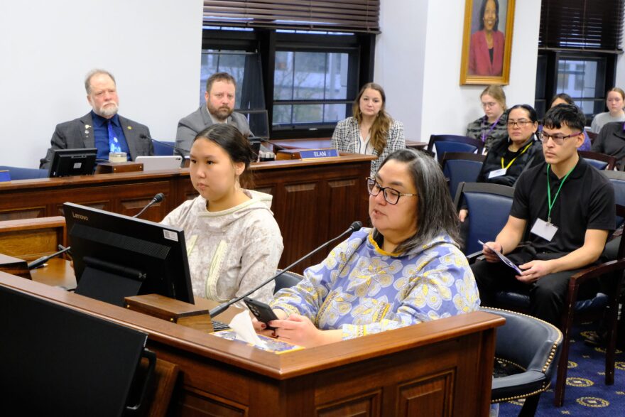 Students and school board members speak to the legislature 