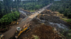 Hawaiian Macadamia Nut Company's farm after Hurricane Lala located in Pāhala, Hawaiʻi Island.