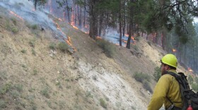 wildfires