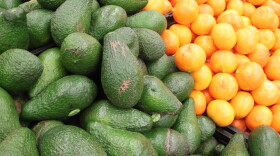 Laurel wilt disease does not affect the avocado fruit itself, rather the tree the fruit grows on, eventually killing it. The new study on algorithms and pictures detecting the disease early could mean the stop of the disease's spread, saving trees. Lea Aharonovitch/Flickr