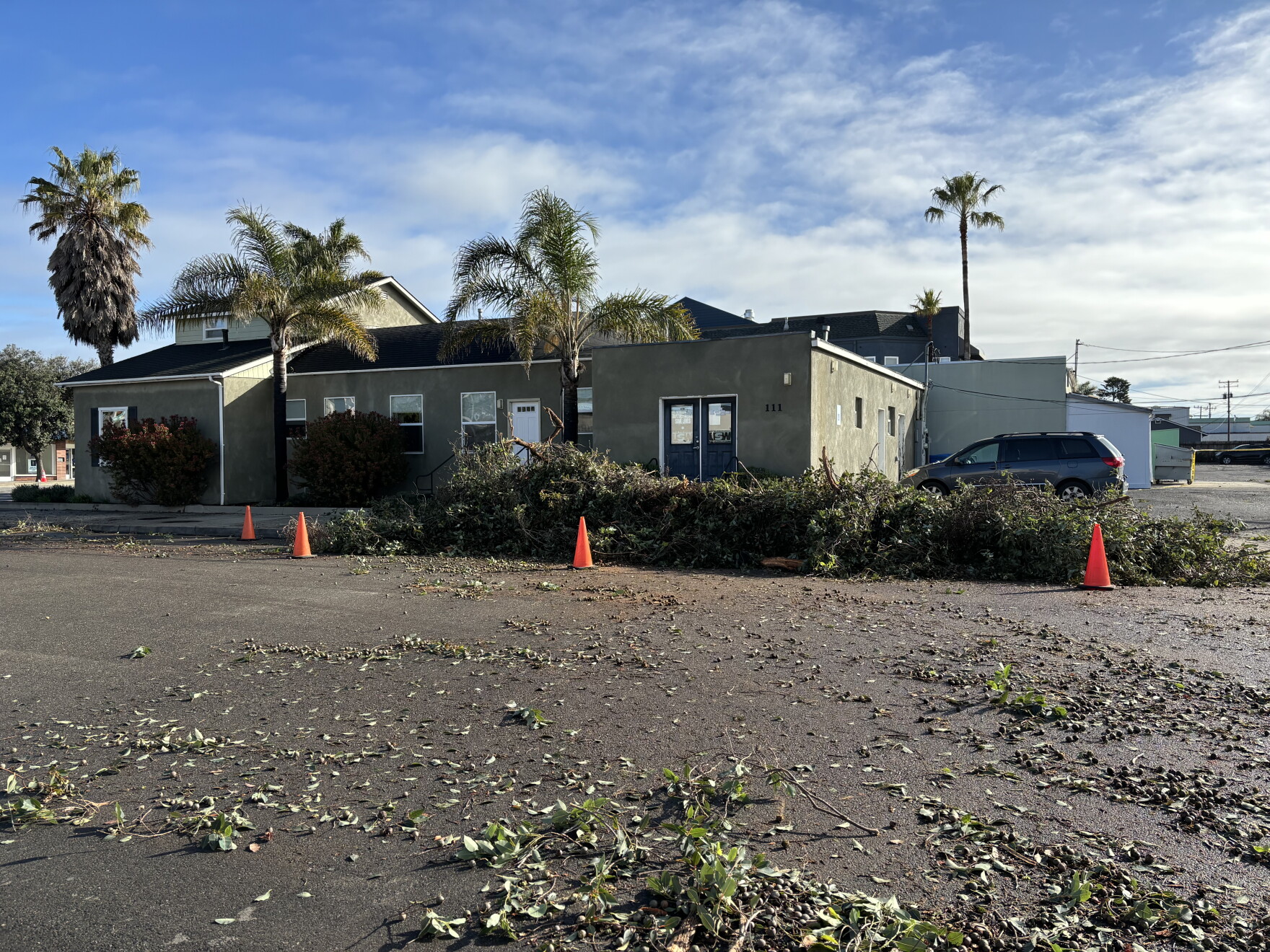 “It was kind of scary”: Tornado topples trees and power lines in Grover ...