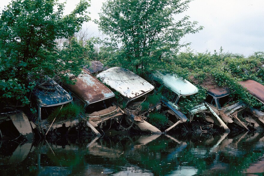Old rusty car bodies sit along the banks of a river