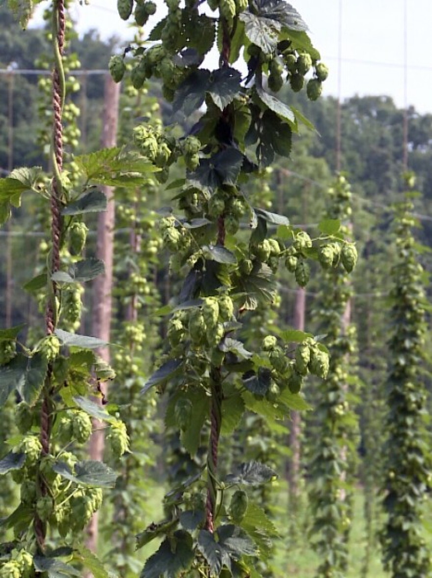 still9