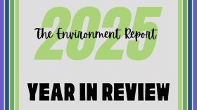 A graphic with the text “2025” in large light-green numbers across the center. Overlaid in black script is the phrase “The Environment Report.” Below, in bold black block letters, it reads “Year in Review.” The background is light gray with vertical stripes of green, blue, and purple along the left and right edges.