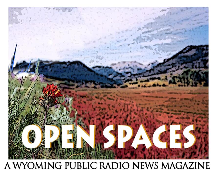 RGBsceniclogo_0.jpg