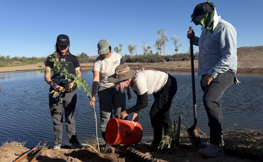 Volunteers gather at the Cocopah North Reservation to take part in hands-on work for the tribe’s ecological restoration project on March 12, 2026.