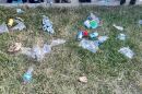Litter is scattered all over the grass from the parade.