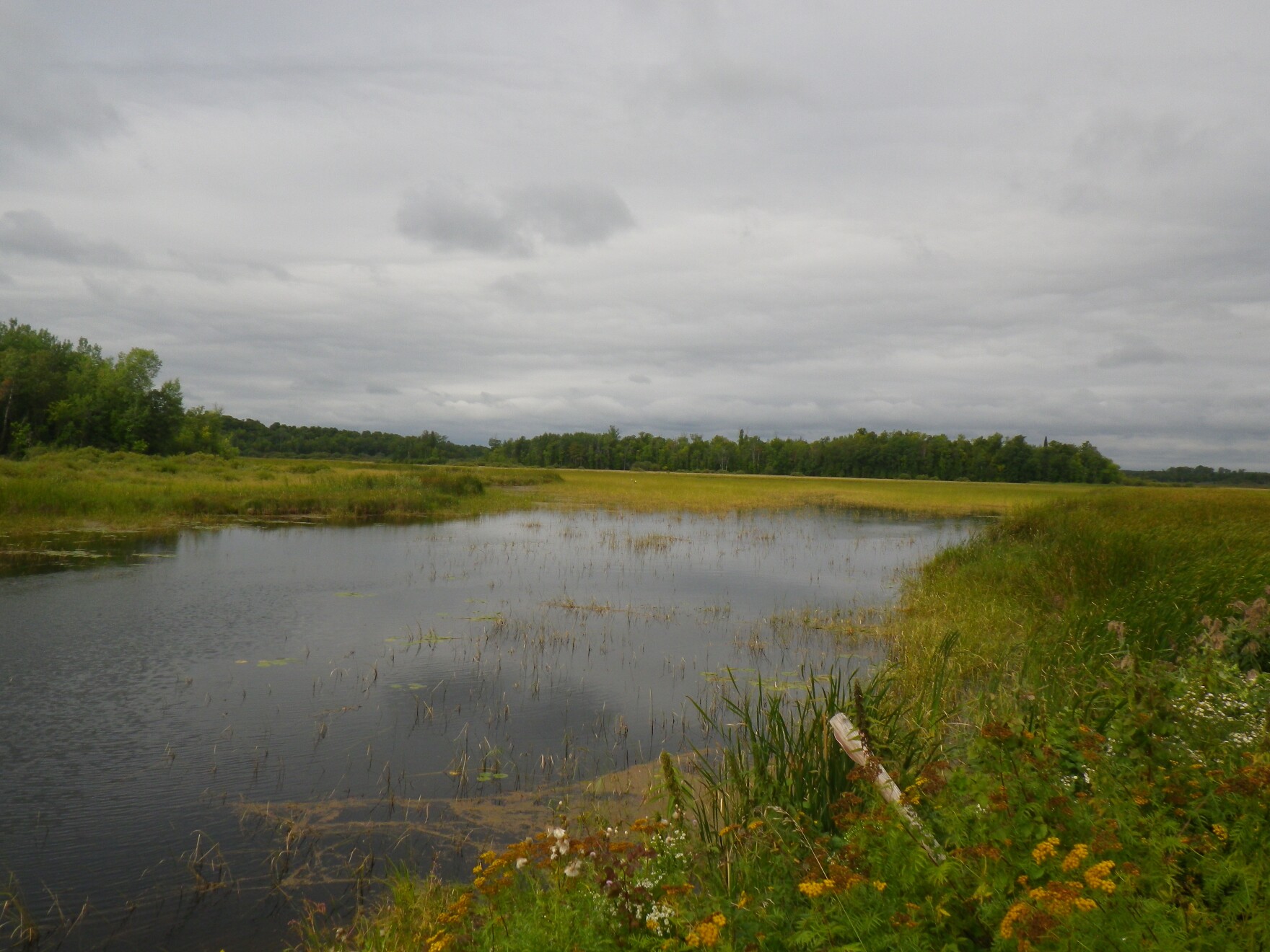 Paddle Minnesota The Wild Rice Harvest on the Leech Lake Indian