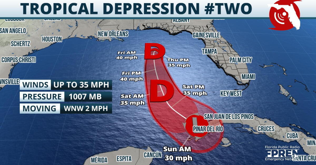 A tropical disturbance in the Gulf will impact Florida into the weekend ...