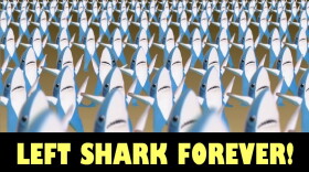 Left Shark, one of the Super Bowl's biggest stars.