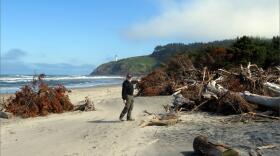 Dale Beasley shows trees killed by saltwater intrusion and erosion that previously fronted the Cape Disappointment State Park campground. CREDIT: TOM BANSE / NORTHWEST NEWS NETWORK