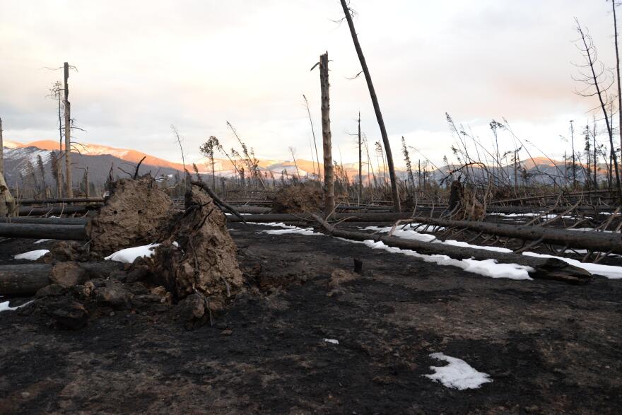 An East Troublesome Fire burn area photographed in November 2020. The wildfire, which became the second-largest in Colorado history, reached 100% containment on Tuesday, Dec. 1.