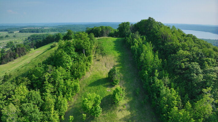 Trees at the Sugar Loaf resort site