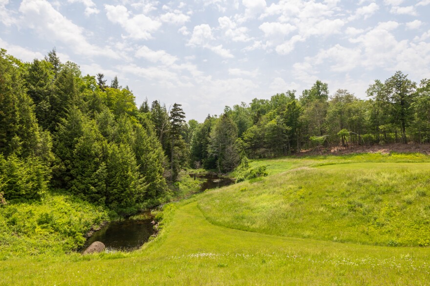 Some of the 850-plus acres secured for conservation by Mass Audubon in Becket, Massachusetts.