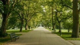 Parkway in a public park in a city
