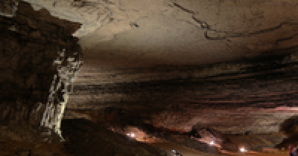 The US government shutdown impacts Mammoth Cave National Park

 | Tech Reddy