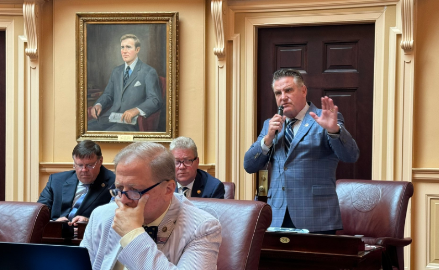 Senator Bryce Reeves speaks on the Senate floor.