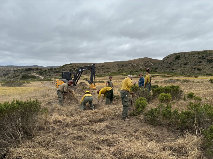 Crews work to restore landscape damaged by bulldozers as they cut fire lines to stop the Santa Rosa Island Fire.