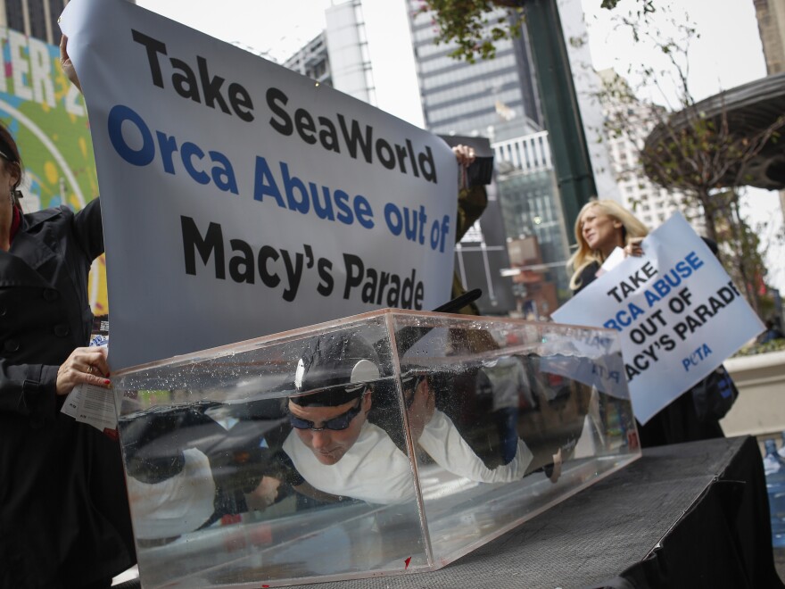 PETA activists demonstrated in 2013 against SeaWorld's planned float at the Macy's Thanksgiving Day Parade in New York City.