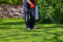 A grounds worker wearing red gloves uses a handheld sprayer to apply chemicals to a green lawn beside a stone retaining wall and shrubs.