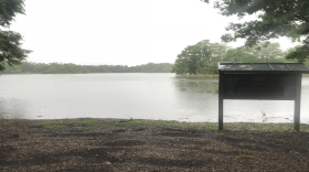 Lake Alice in Gainesville full from thunderstorms.