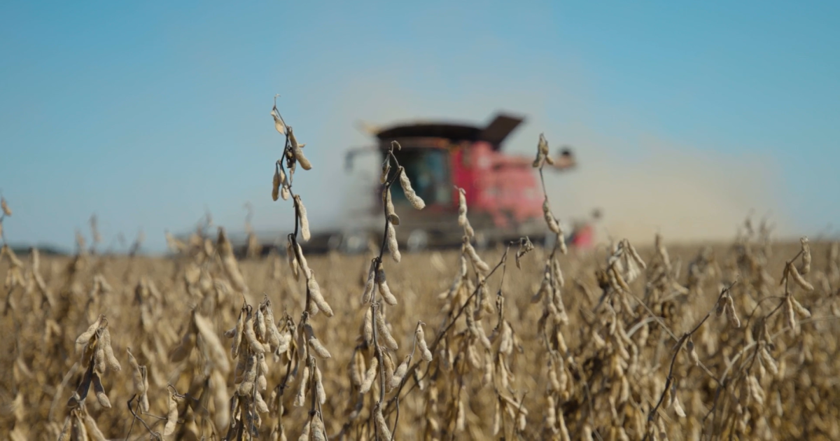 More American farmers are filing for bankruptcy. Here’s why