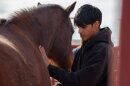 Pascua Yaqui equine
