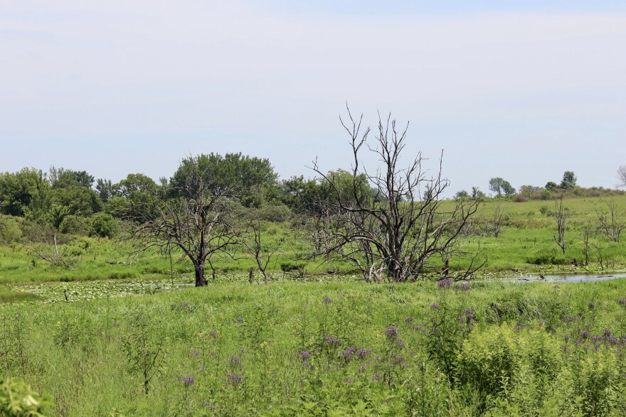 Private landowners in Oklahoma are stepping up to preserve habitat for