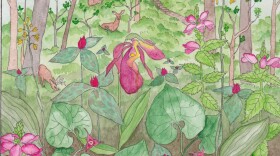 How to Survive the Future Episode 3: McCormick's Creek State Park