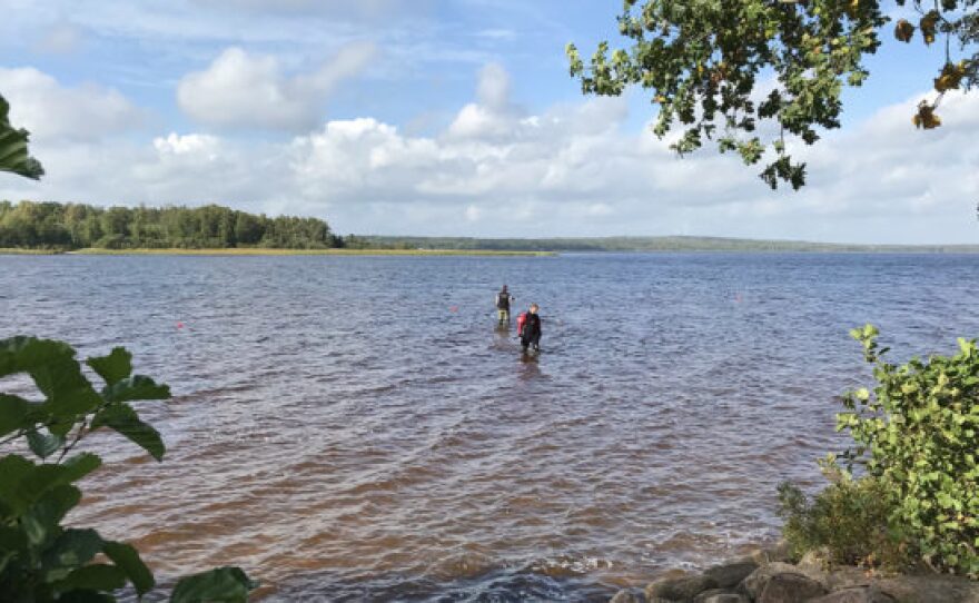 A team uses metal detectors to search the lake where Saga made her discovery.
