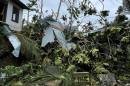 Debris from the Super Typhoon Sinlaku in Tunnuk, a village in Chuuk Lagoon.