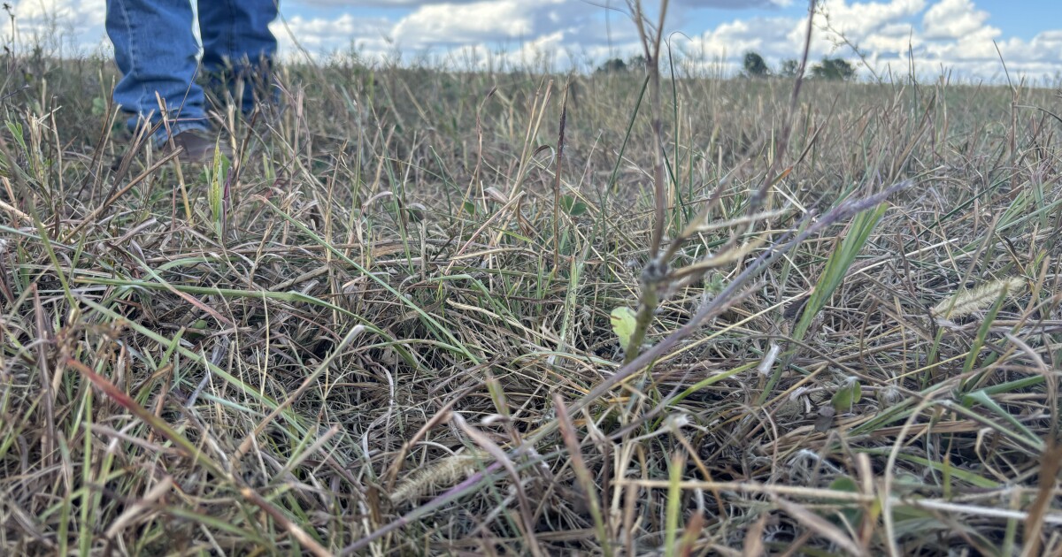 Missouri DNR releases new flood and drought app