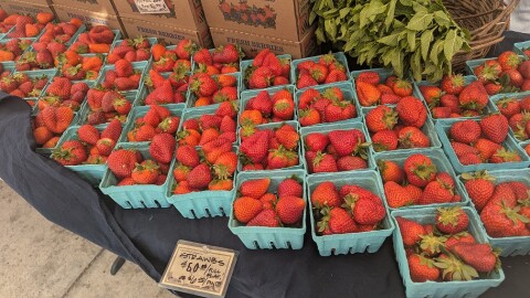 Strawberries for sale at the Groudwork Organics stall at the Lane County Farmers Market on May 12, 2026.