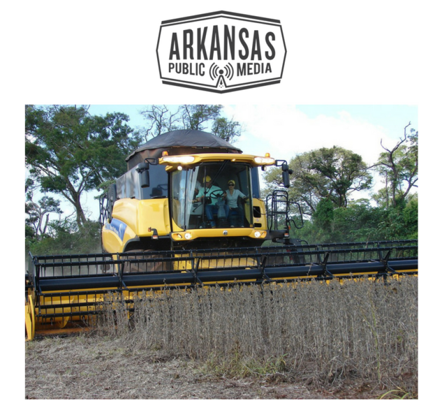 Farmers are welcoming the news of a $12 billion bailout during trade trouble but also seek longer-term solutions.