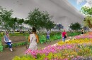 Planned features include an amphitheater, dog parks, walking and biking paths, plazas, play areas, food vendors, and a pedestrian trail stretching to Biscayne Bay.