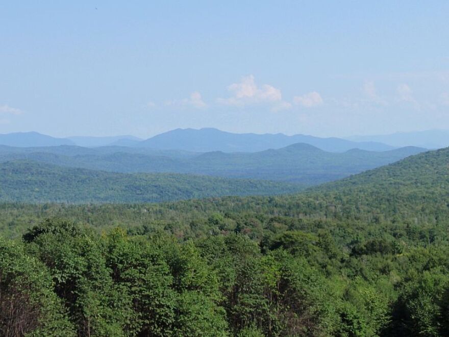 An overhead view of forests with mountains in the background