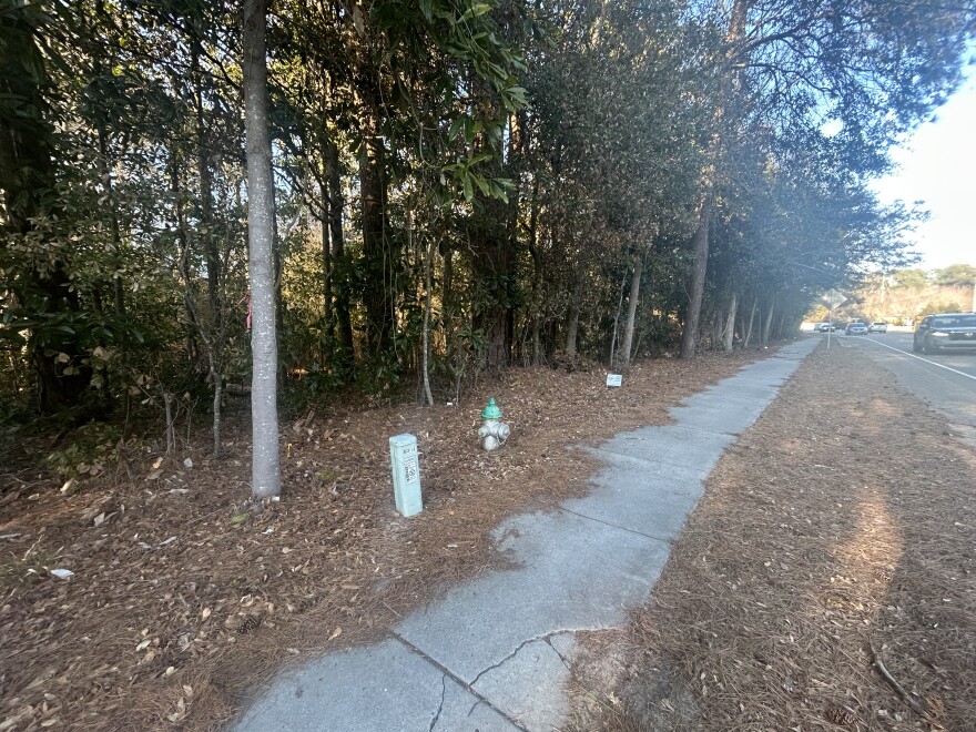 Street-facing side of the forested property on Greenville Loop Road.