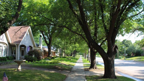 A photo of a tree-shaded residential street on a sunny day. Houses with green lawns line a sidewalk. The first house has a purple TCU flag.
