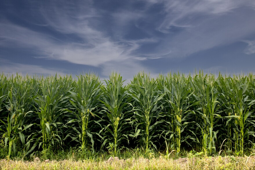 Picture of a tractor on a farm