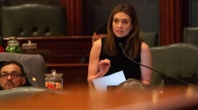 Rep. Margaret Croke, D-Chicago, presents a bill in the Illinois House on April 18, 2024.