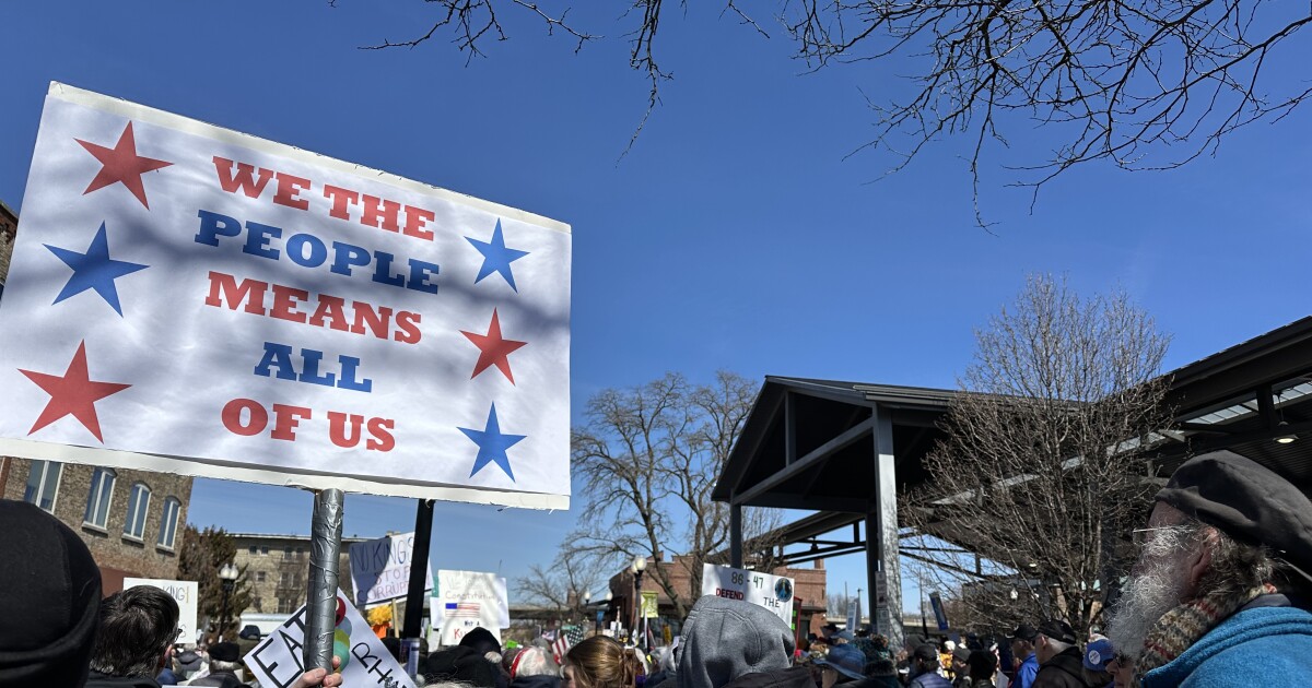 Thousands rally across northern Illinois in 'No Kings' protests